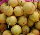 28 Manfaat Buah Pala untuk Kesehatan 