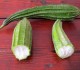 8 Manfaat Oyong untuk Kesehatan Tubuh 