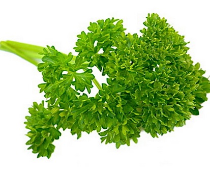 Image result for daun parsley