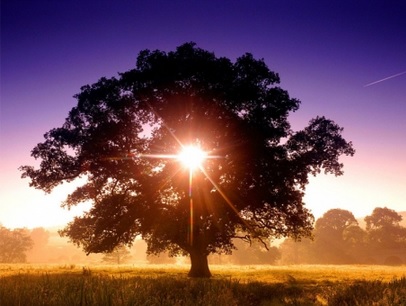 8 Manfaat Matahari Bagi Kehidupan Manusia Manfaat Co Id