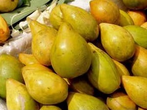 buah alkesa