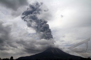 manfaat abu vulkanik