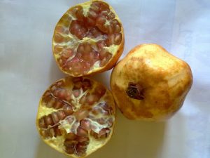 manfaat buah delima putih