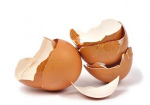 manfaat cangkang telur