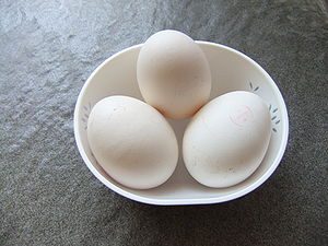 manfaat telur angsa
