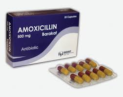 manfaat amoxicilin