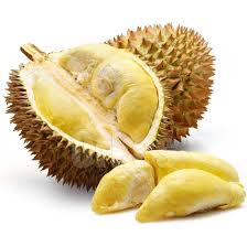 manfaat durian montong