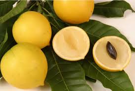 Health benefit of abiu fruit