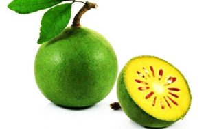 maja fruit