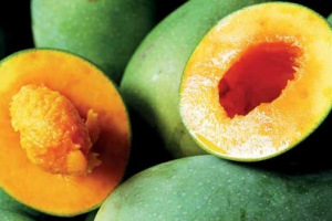 12 Manfaat Mangga Indramayu – Super Manis dan Sehat