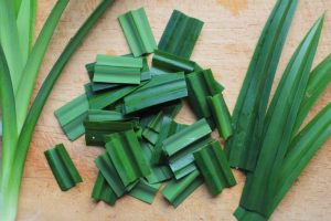 12 Manfaat Daun Pandan untuk Wanita dan Kecantikan