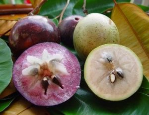 15 Manfaat Buah Kenitu – Buah Langka Kaya Manfaat