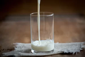 manfaat susu basi